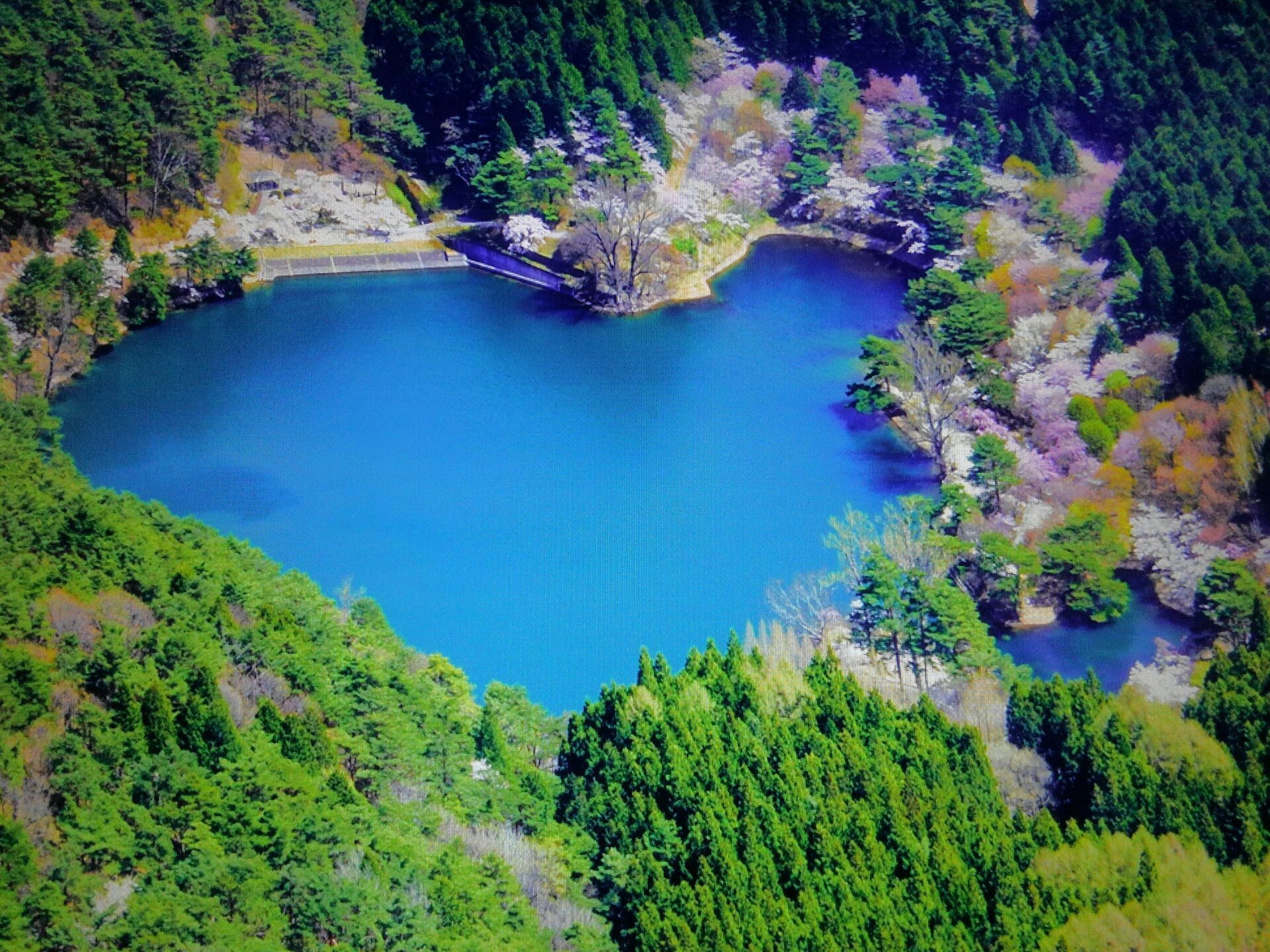 福島県桑折町半田沼ハートレーク 風景写真家 城郭写真家 五島健司の旅写真ブログ