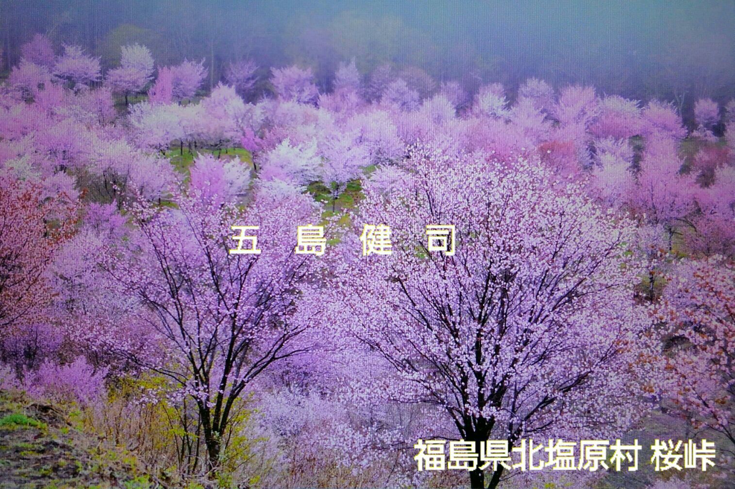 福島県北塩原村 桜峠: 風景写真家城郭写真家 五島健司の旅写真ブログ